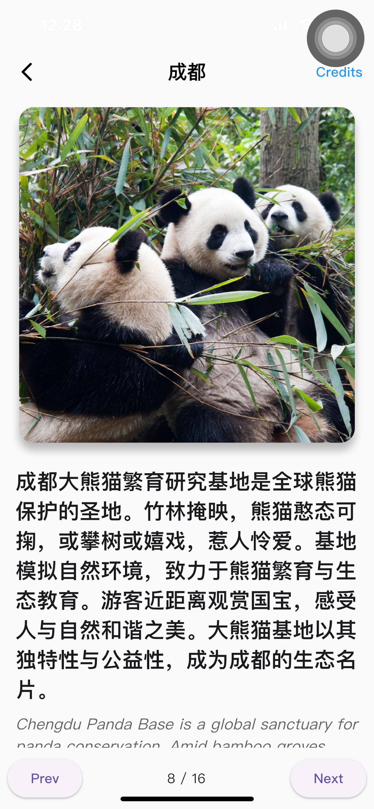 App Screenshot on iPhone